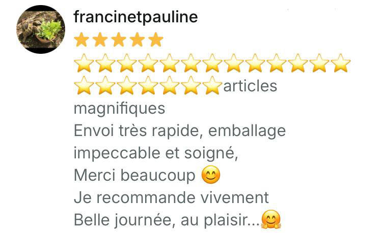 articles magnifiques